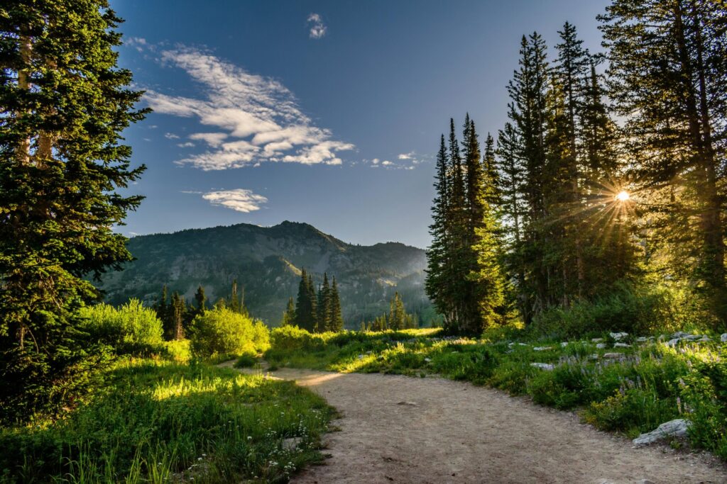 a trailhead going to the mountains