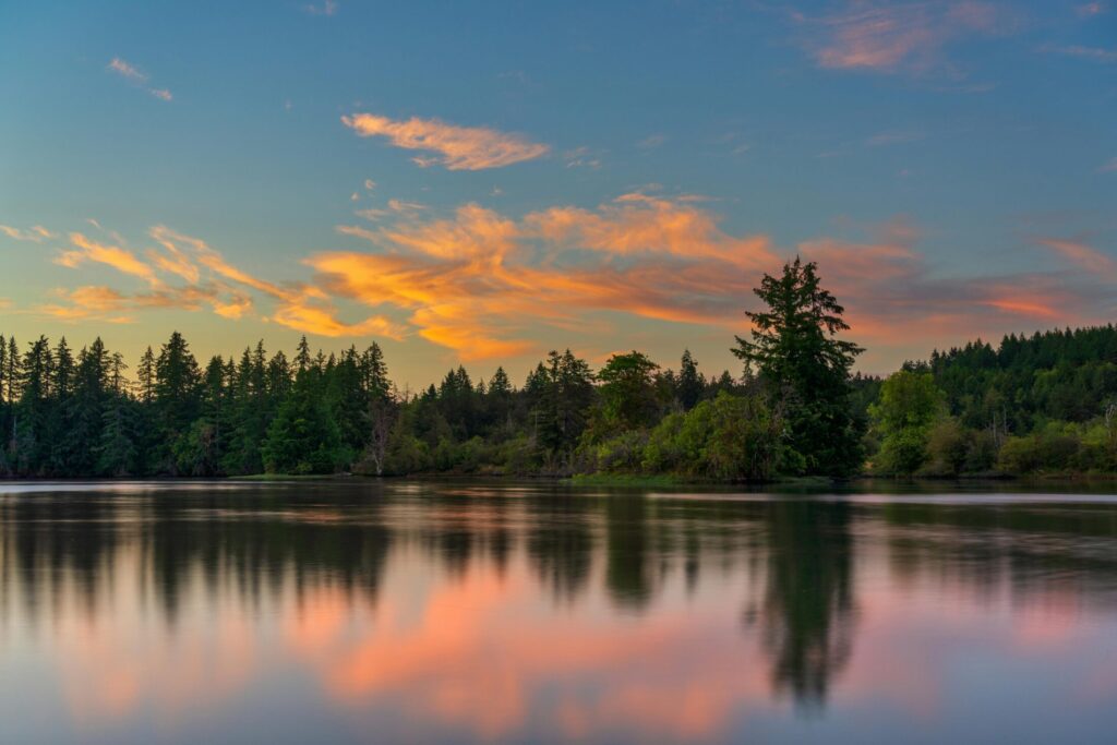 Scenic View of Trees near the Lake