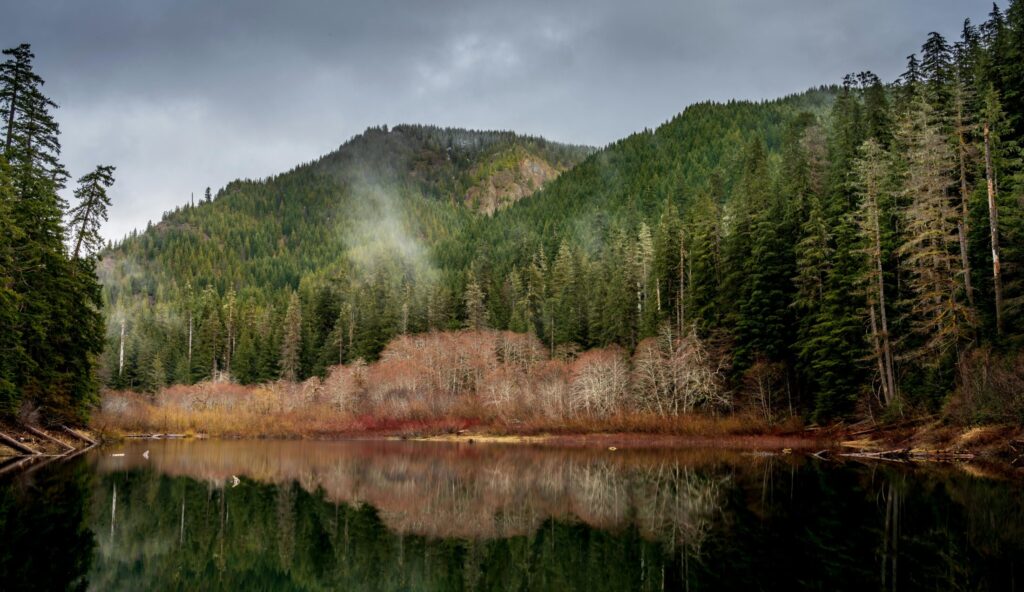 Lake Surrounded by Hills and Forest