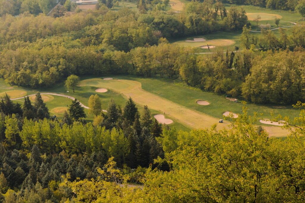 Aerial View of Trees on a Golf Course